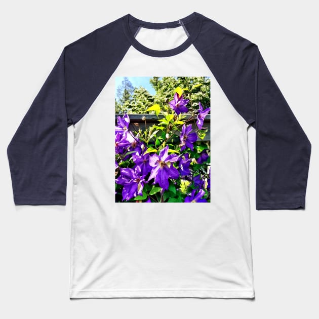 Clematis - Solina Clematis on Fence Baseball T-Shirt by SusanSavad